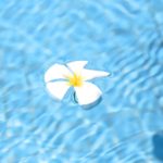 海外旅行の必携品 – 忘れやすいもの・便利なもの